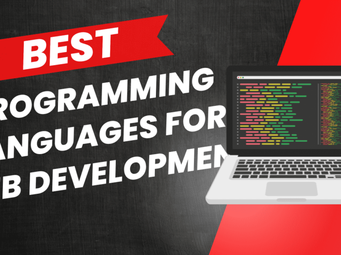 best programming languages for web development